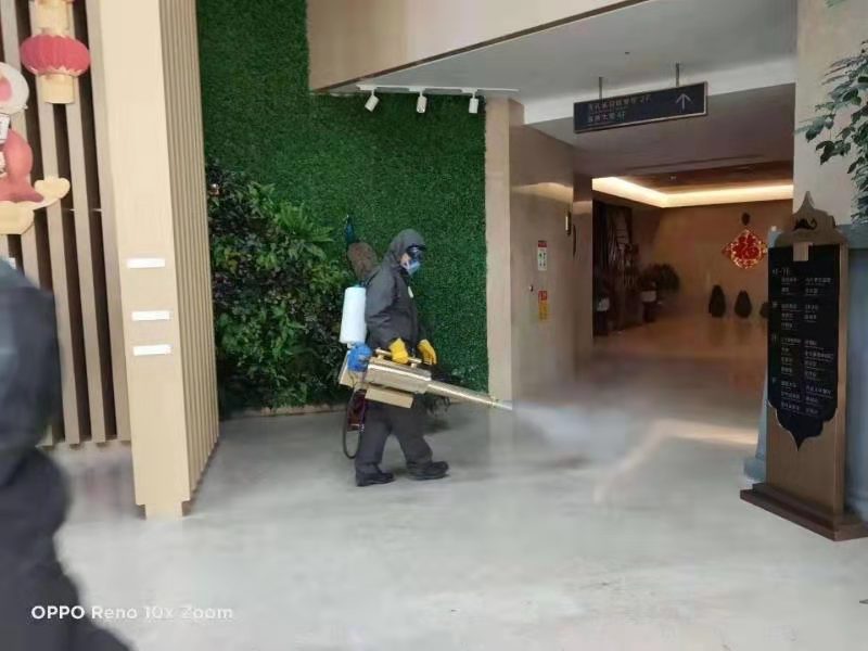 学校